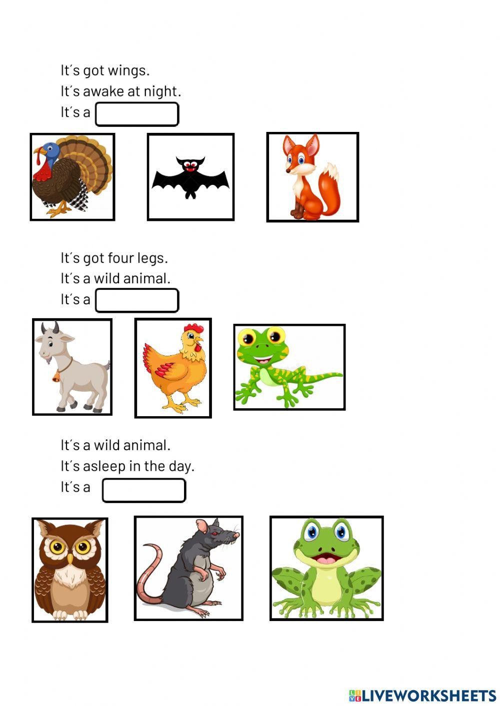 Animals descriptions