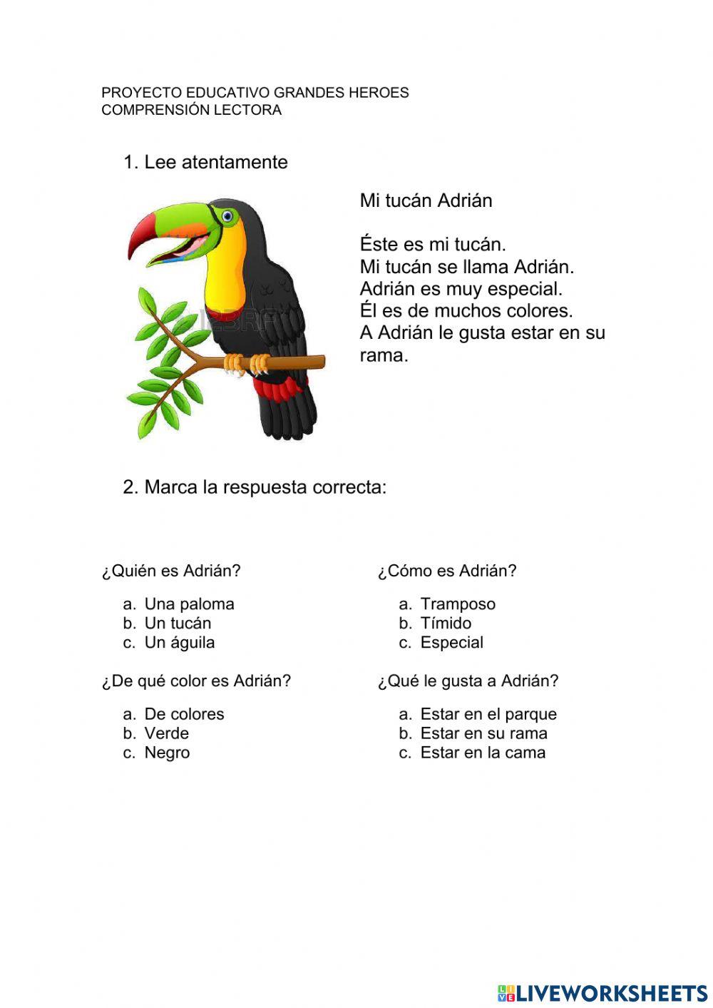 Comprensión lectora