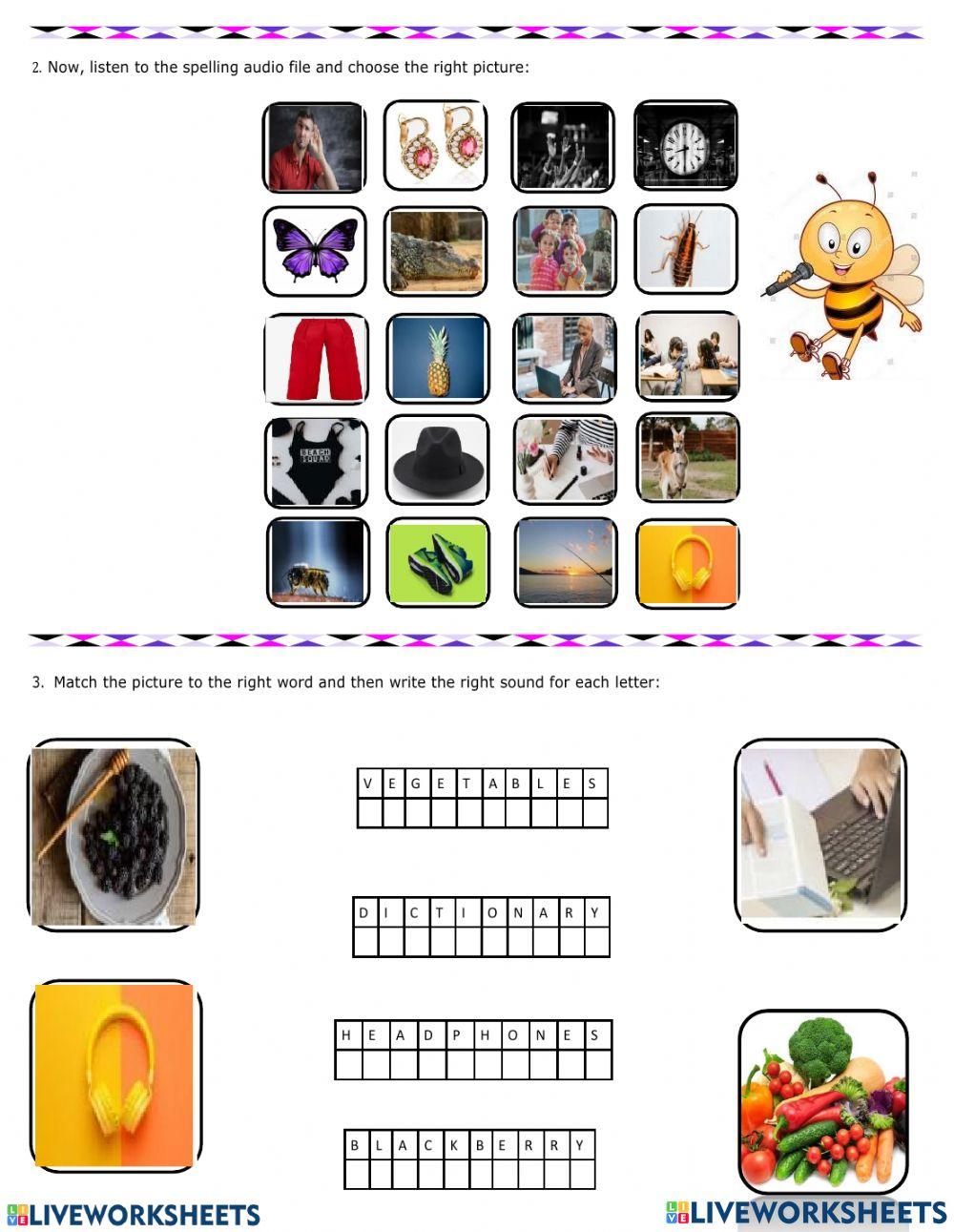 Worksheet -4 Spelling Bee - Cycle 2