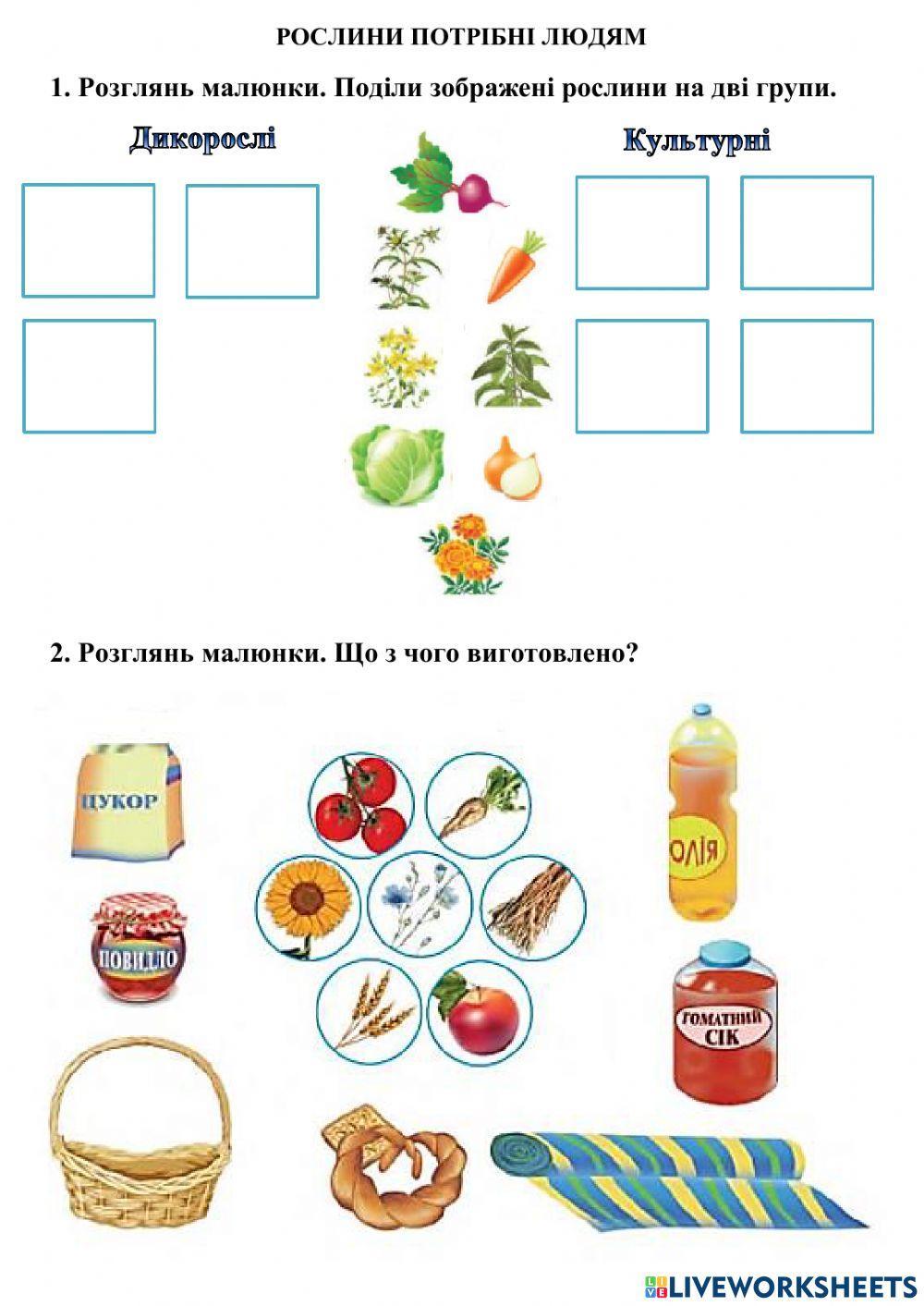 Рослини потрібні людям