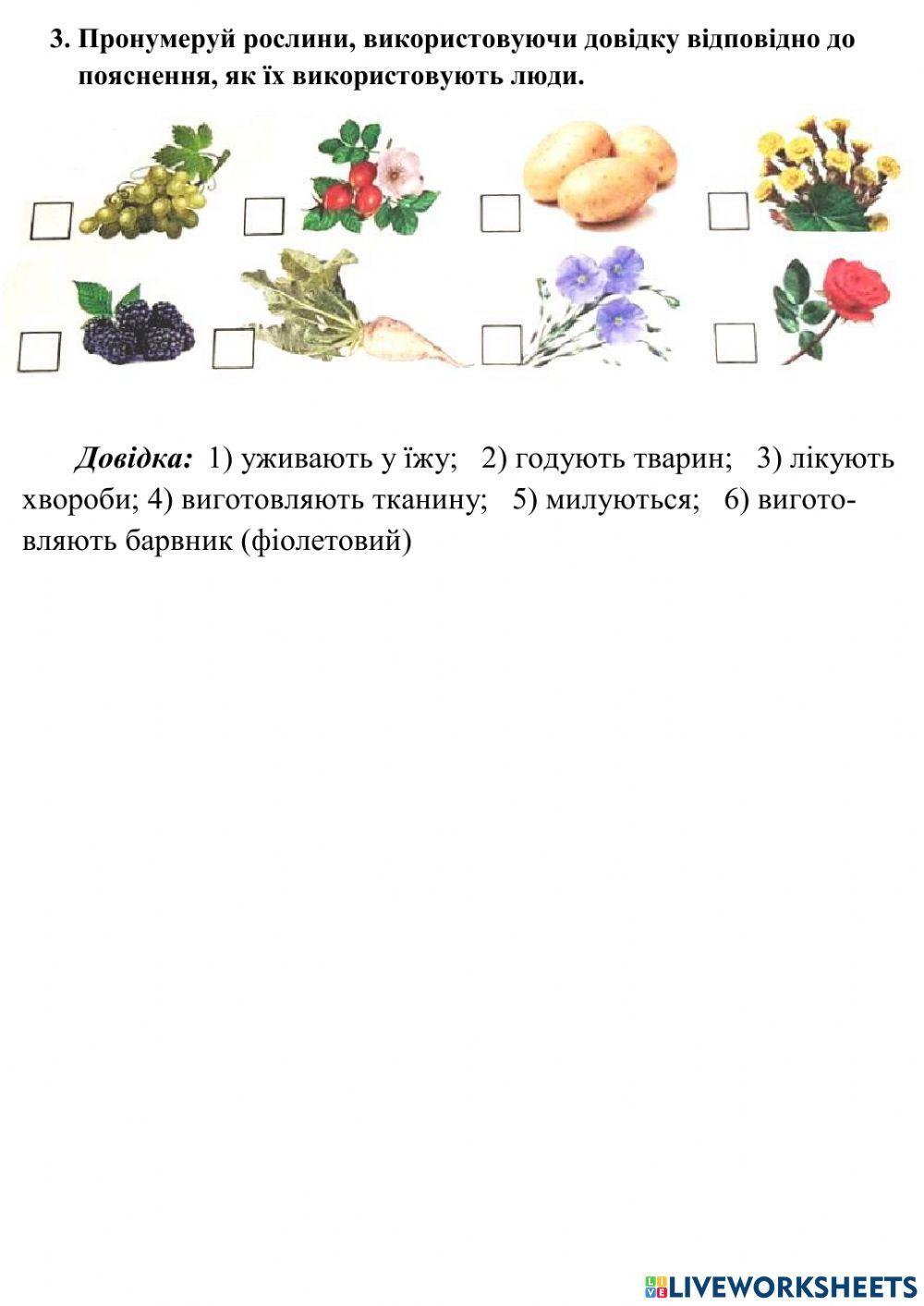 Рослини потрібні людям