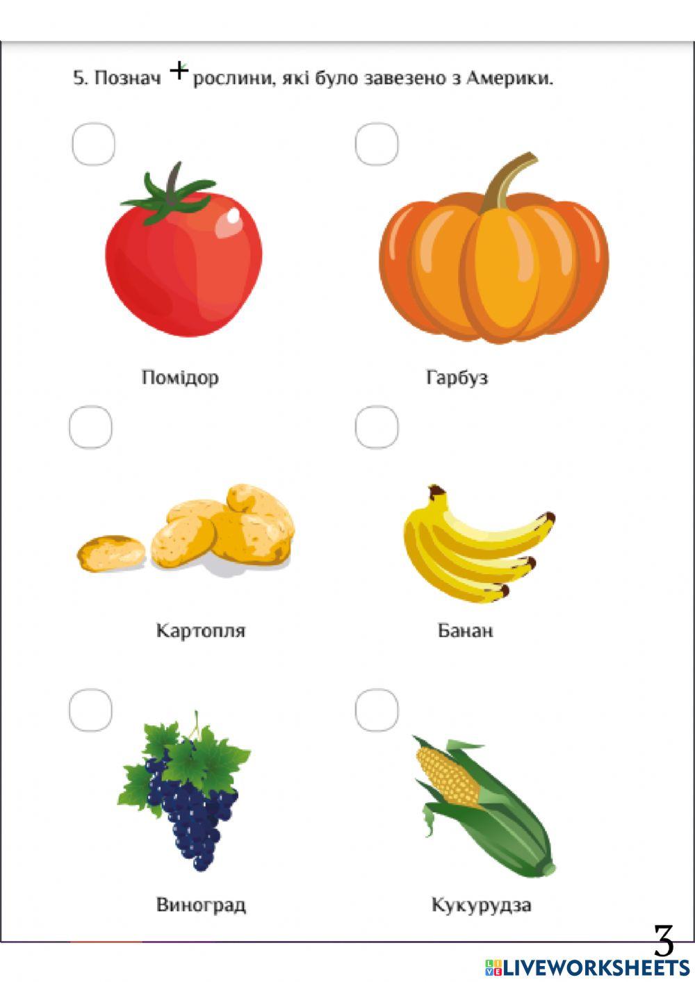 Діагностувальна робота -Північна Америка-