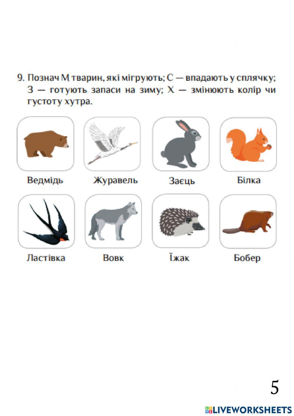 Діагностувальна робота -Північна Америка-