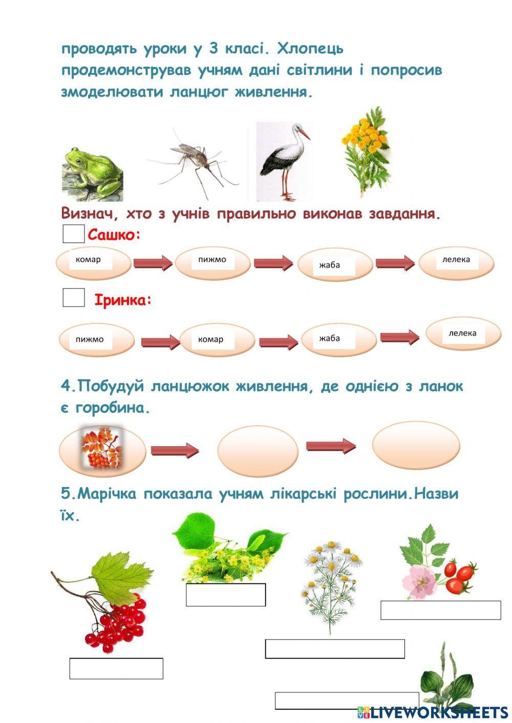 Діагностувальна робота -Світ невидимий-