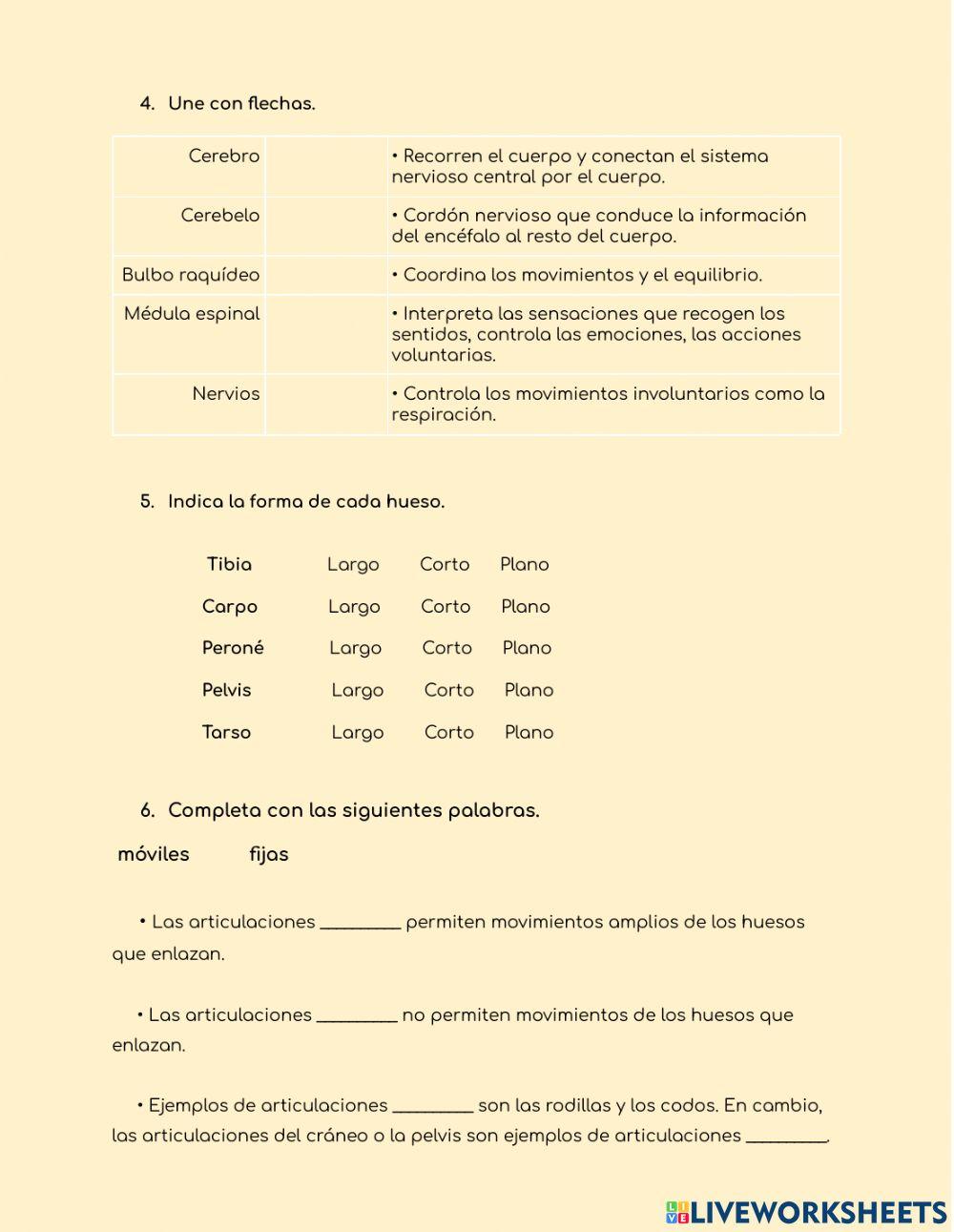 Función de relación