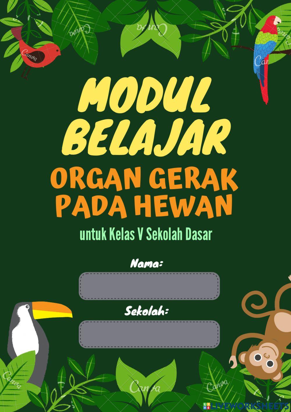 Organ Gerak Pada Hewan