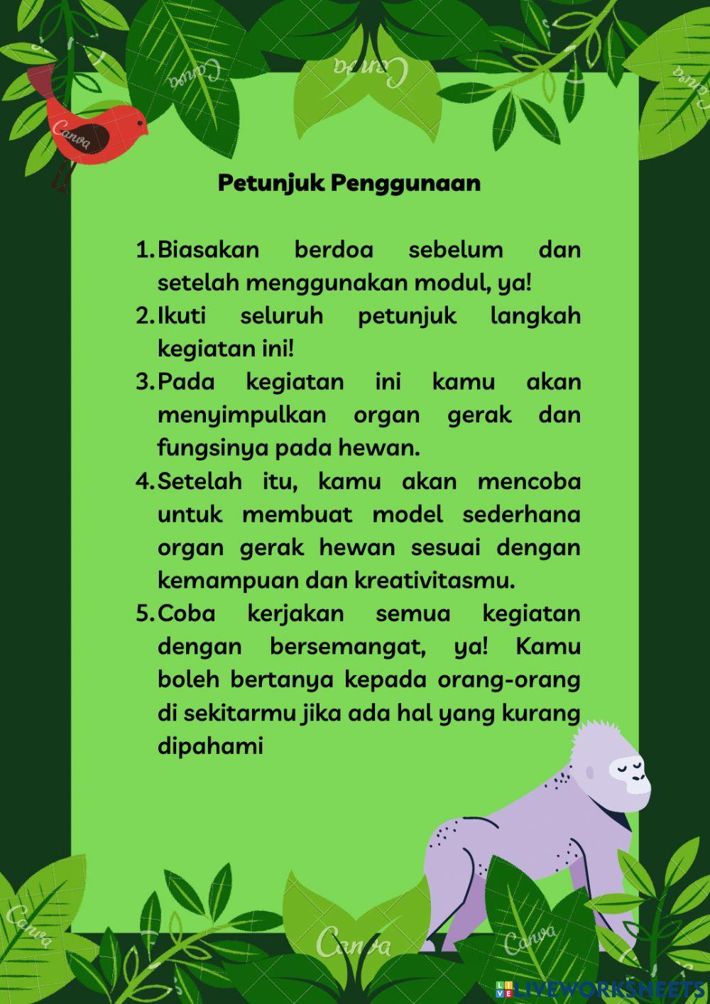 Organ Gerak Pada Hewan