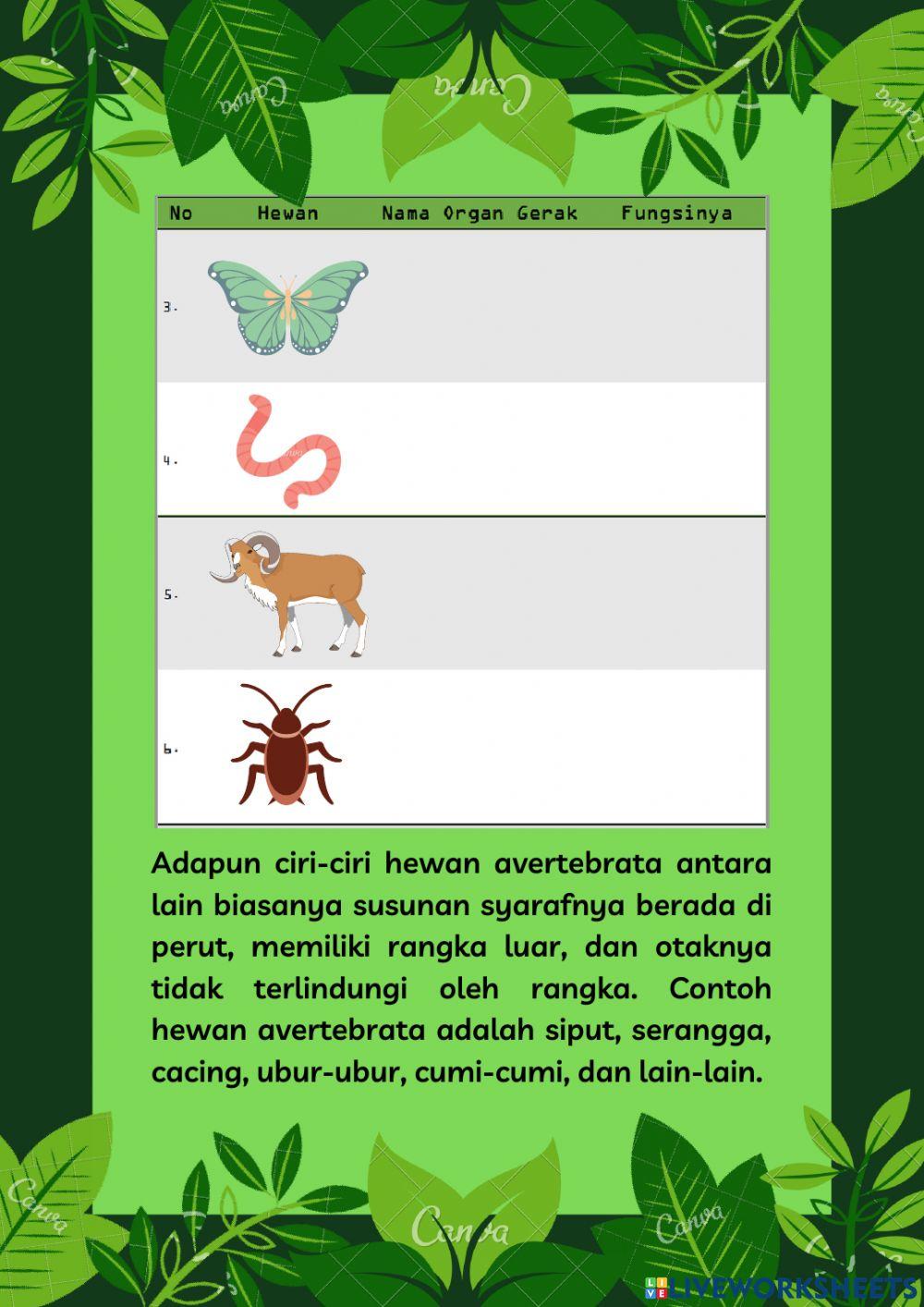 Organ Gerak Pada Hewan