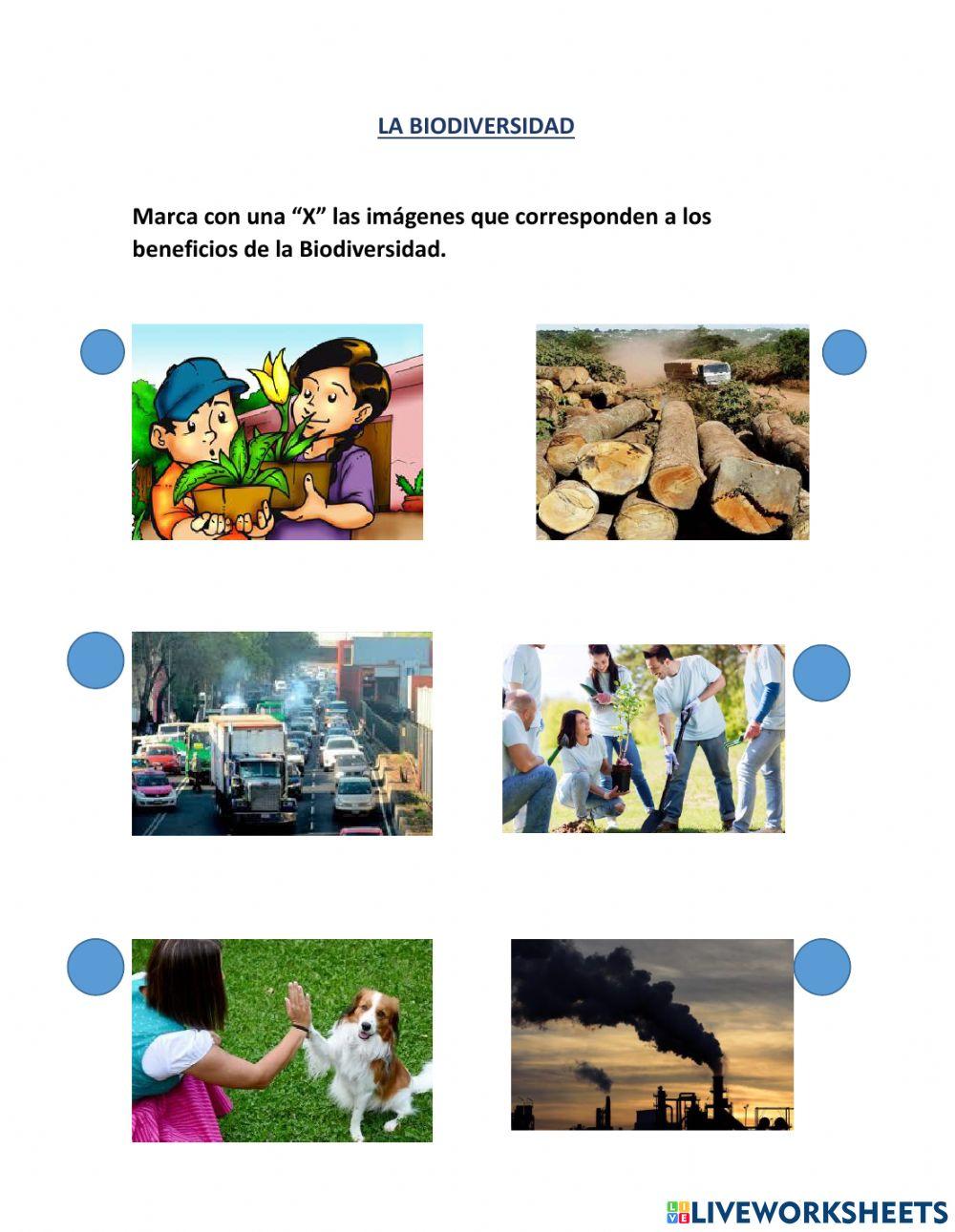 Beneficios de la Biodiversidad