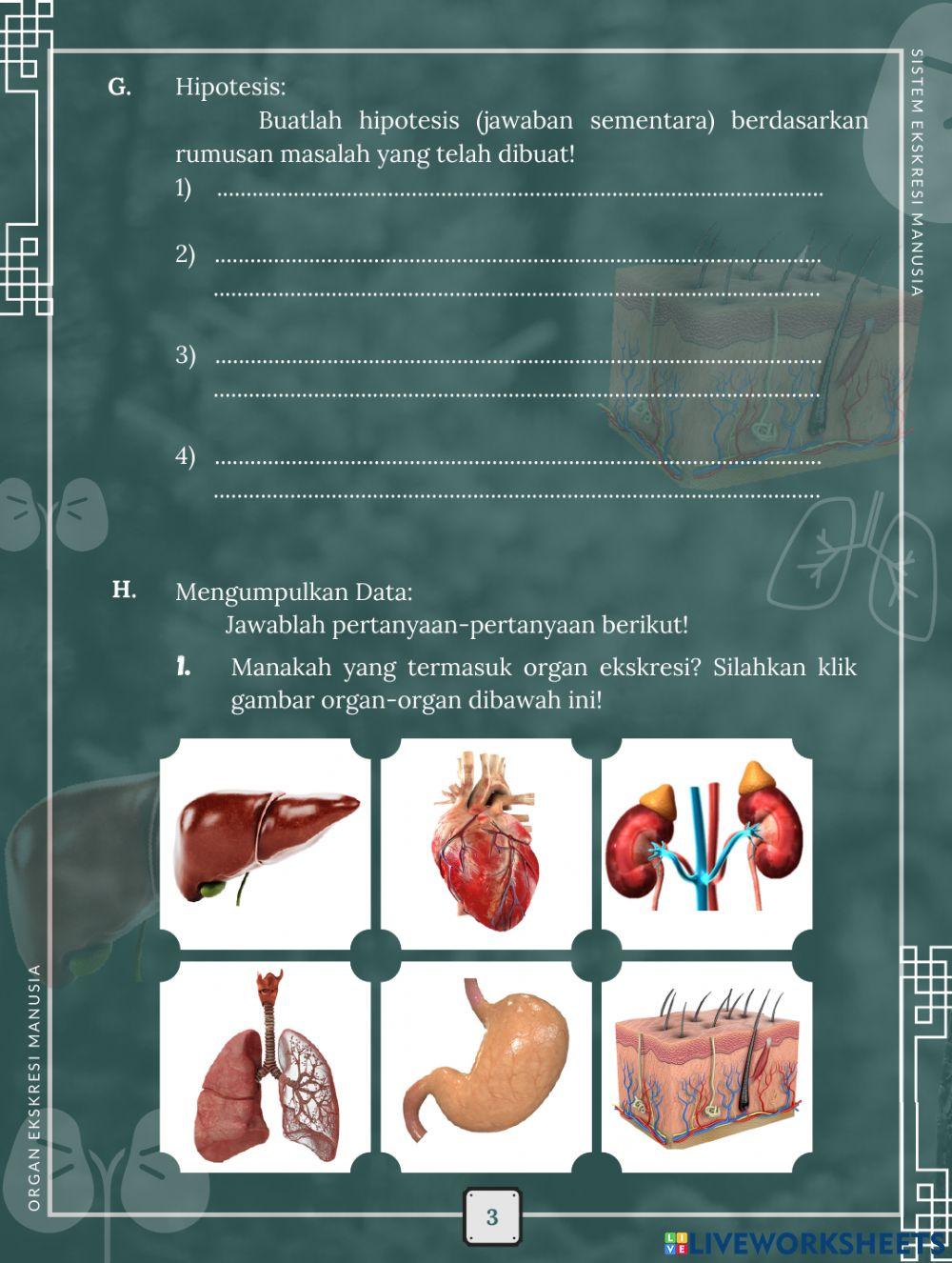LKPD Elektronik Berbasis Inkuiri Terbimbing Materi Sistem Ekskresi Manusia 1