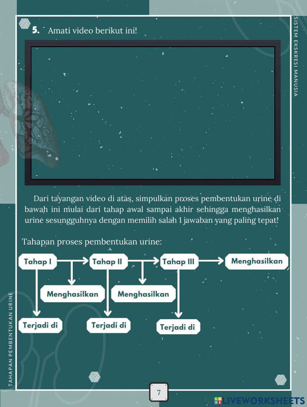 LKPD Elektronik Berbasis Inkuiri Terbimbing Materi Sistem Ekskresi Manusia 1