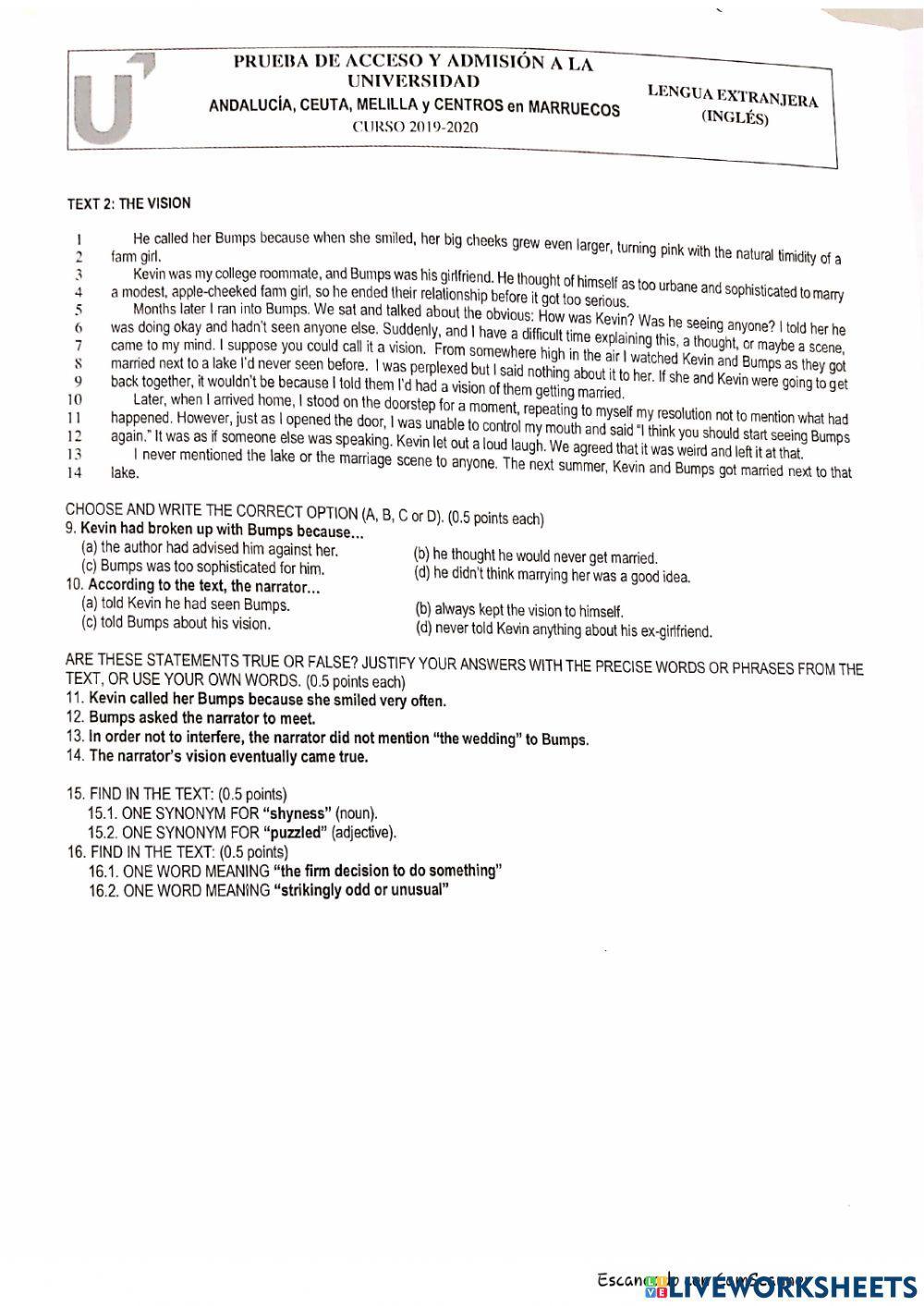 Pevau Chocolate and The Vision 2019-20