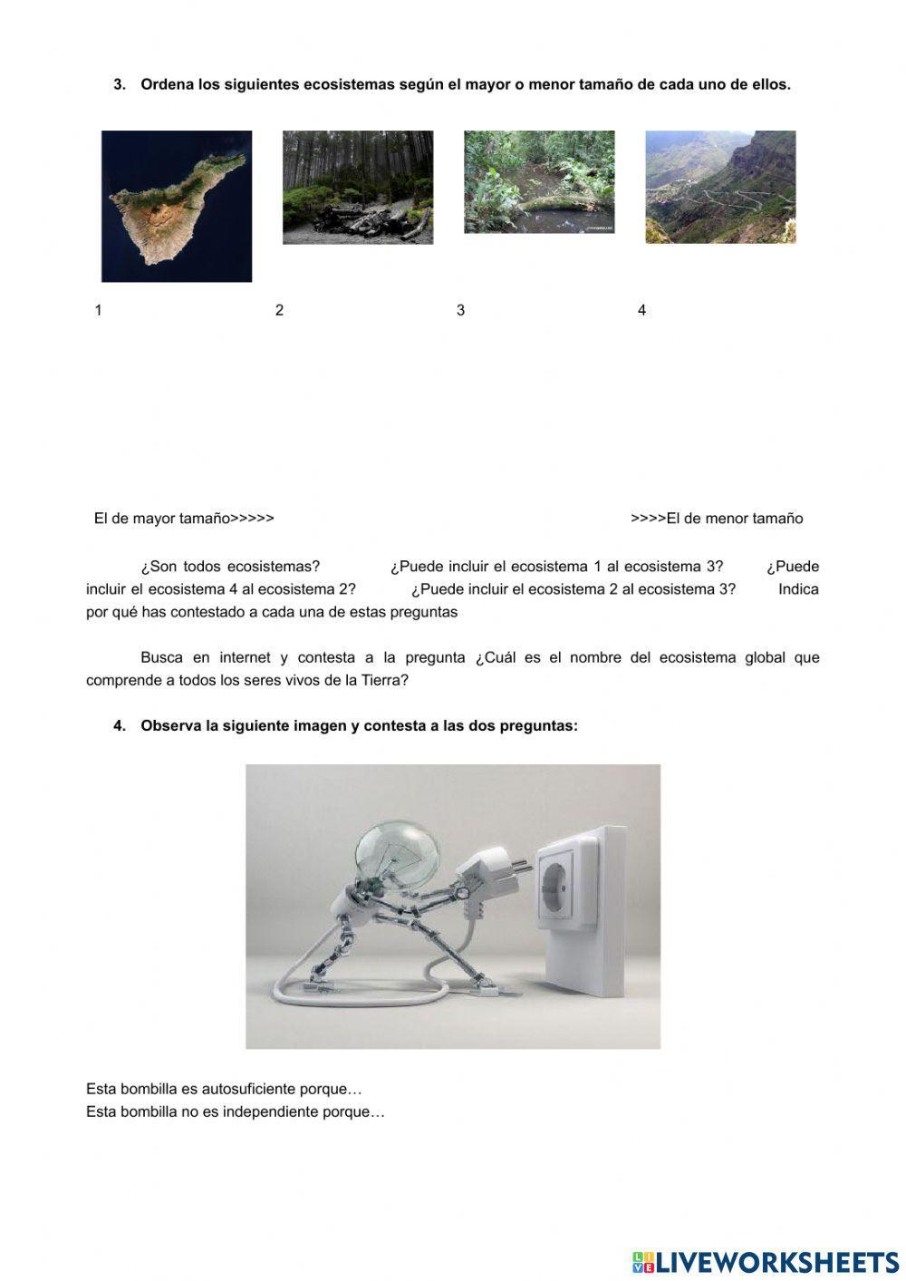 Ecosistemas I. Definición. El medio físico