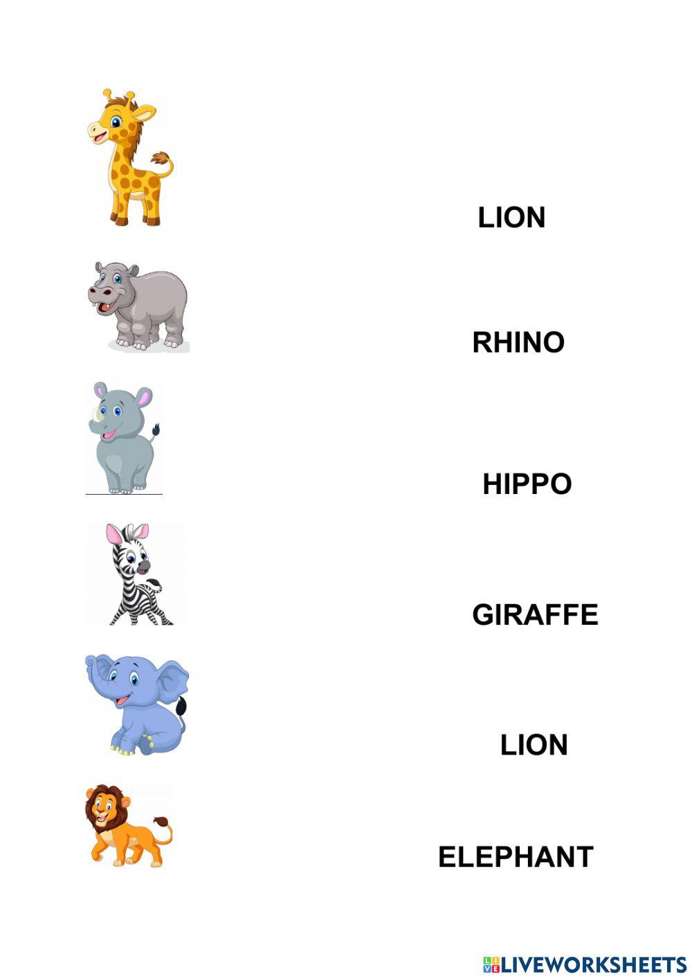 Animals matching activity