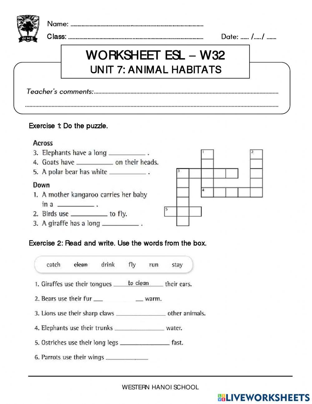 3C2- Worksheet ESL - W32