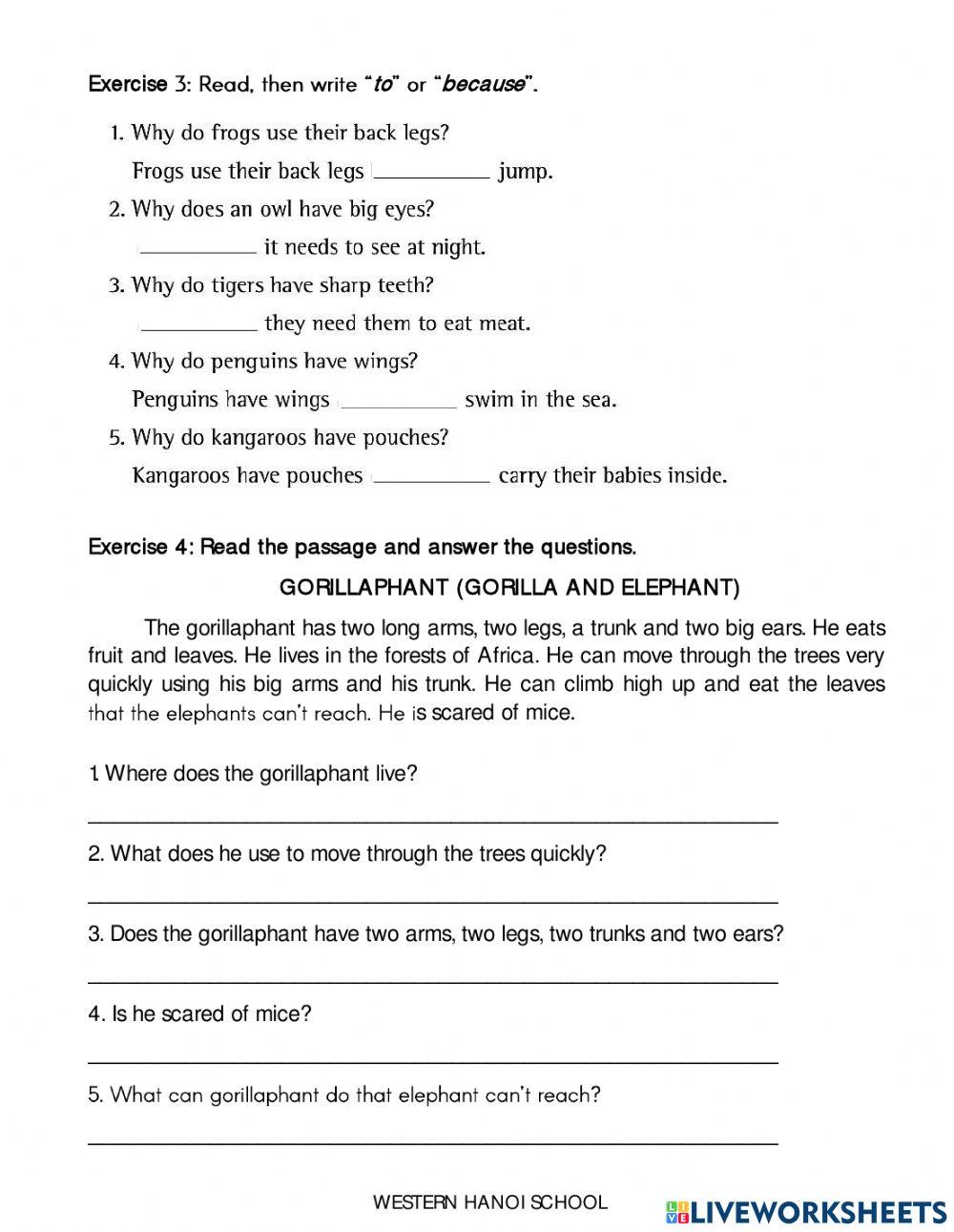 3C2- Worksheet ESL - W32
