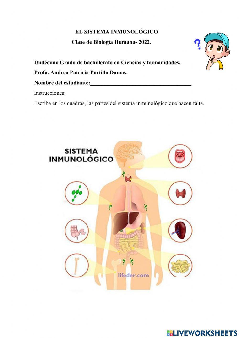 Sistema inmunologico