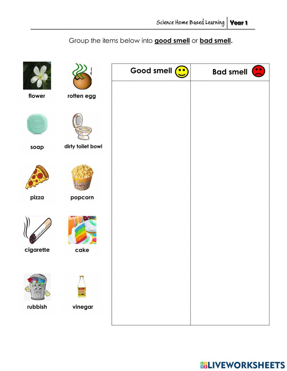 Good Smell Or Bad Smell 1981426 Teacher SRHD good-smell-or-bad-smell-1981426-teacher-srhd