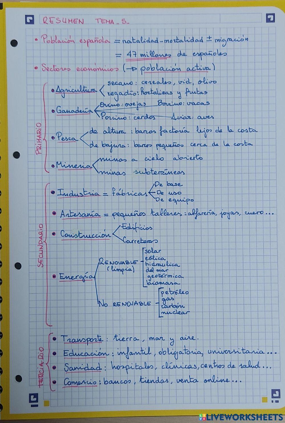 Resumen tema 5