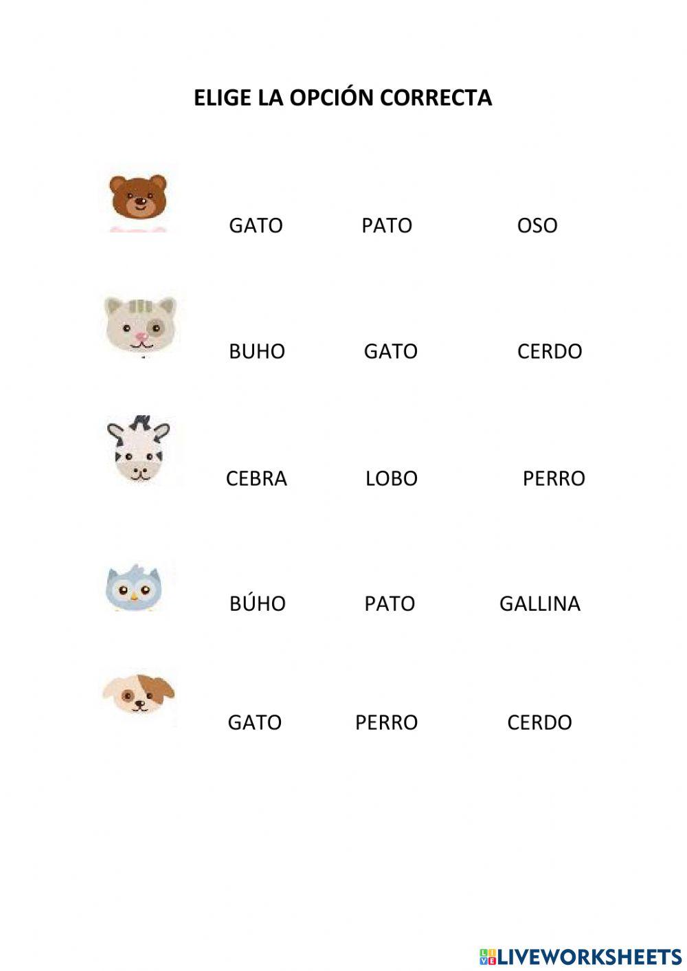 Elige la opción correcta