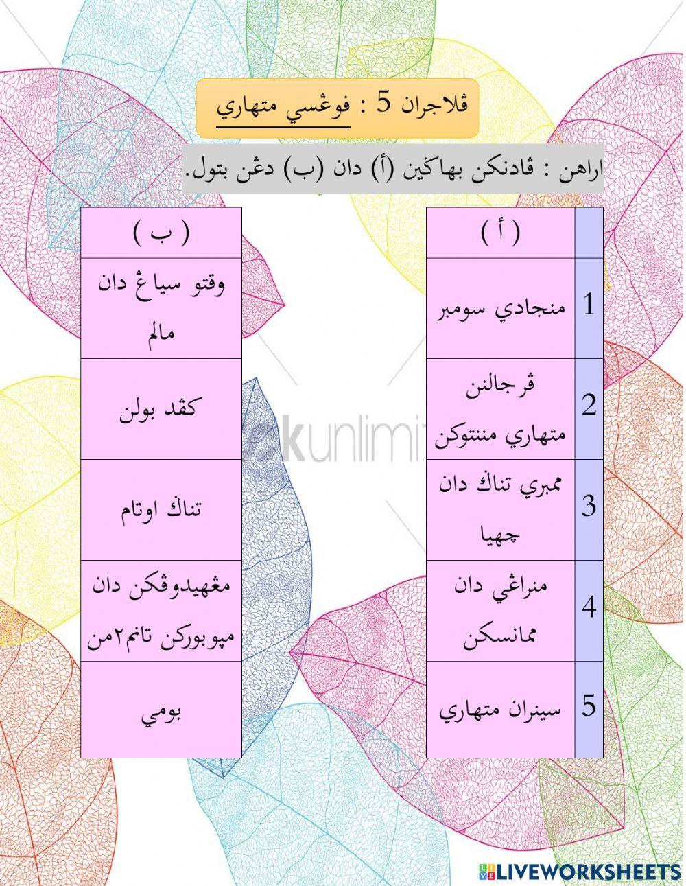 Fungsi Matahari - Rose