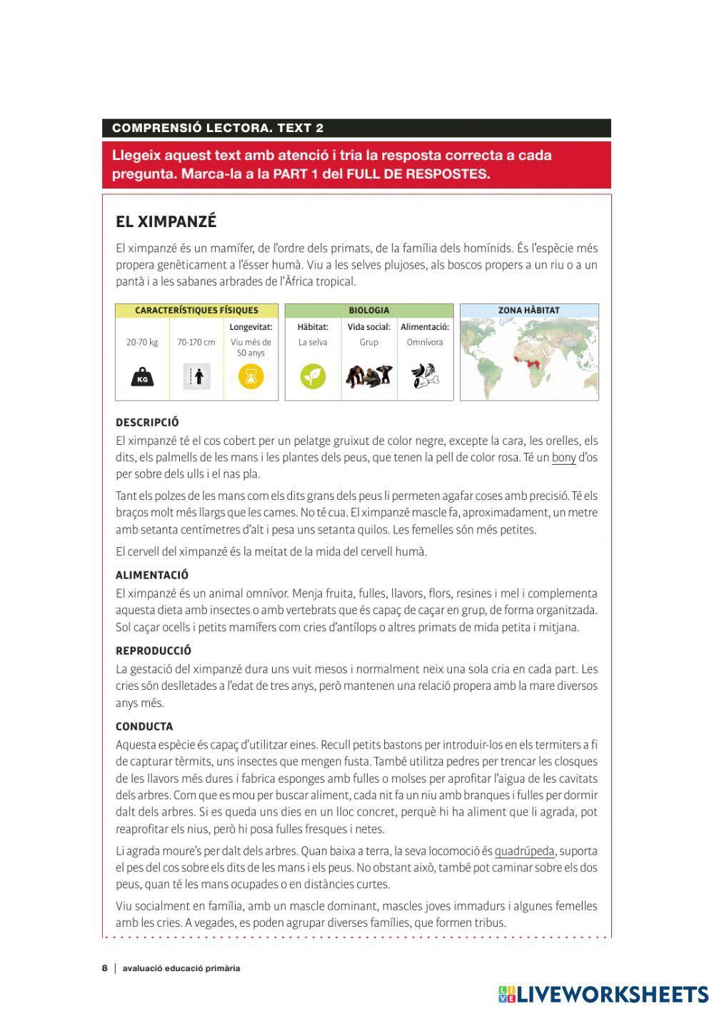 Competencies bàsiques 6è català