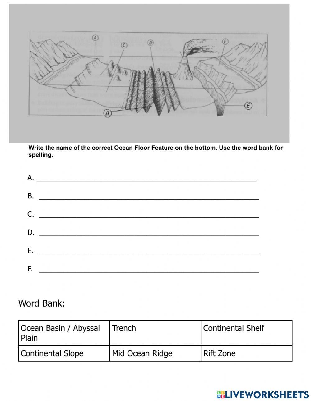 Ocean floor and geographic vocabulary quiz online exercise for live