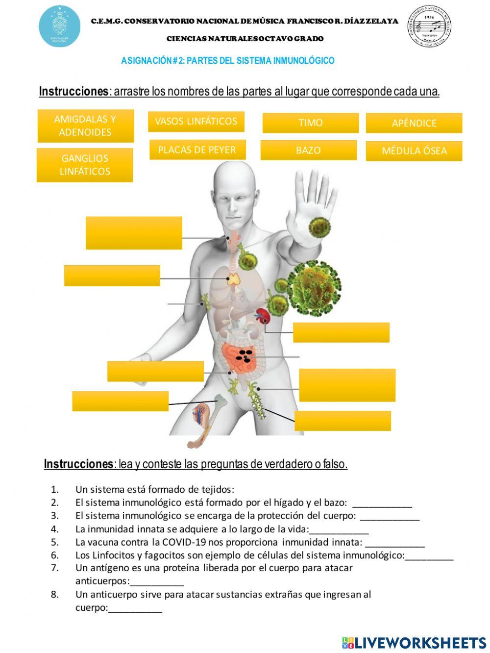 Sistema inmunológico