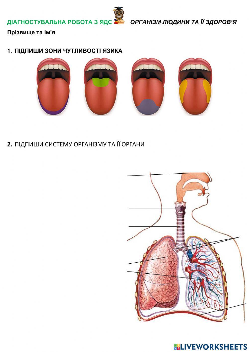 Діагностувальна робота ЯДС