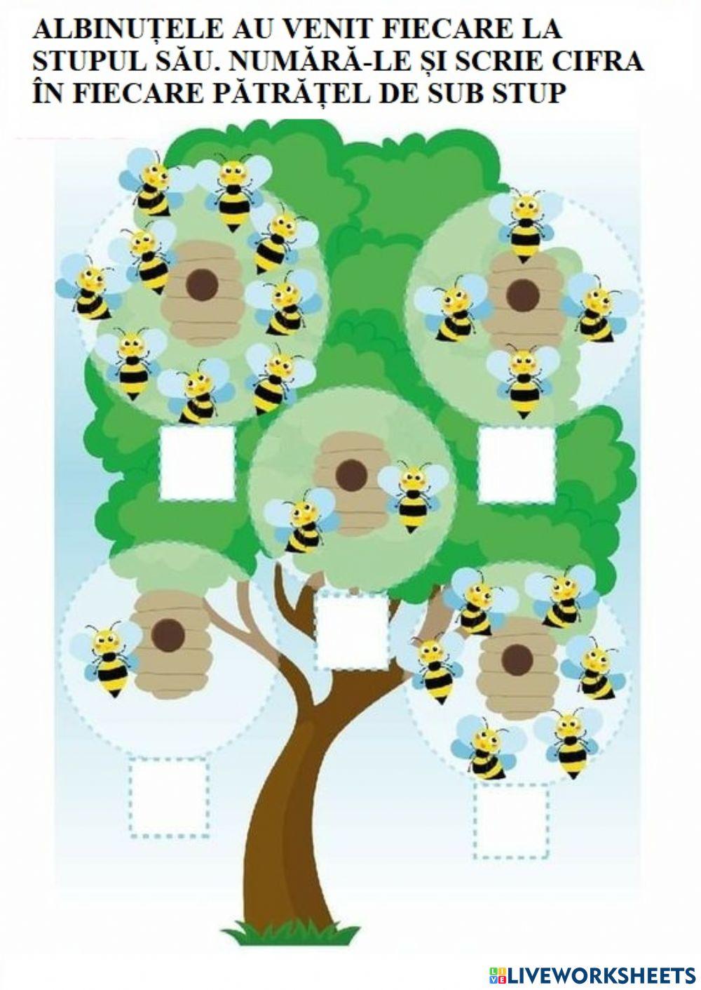 Numărăm albine