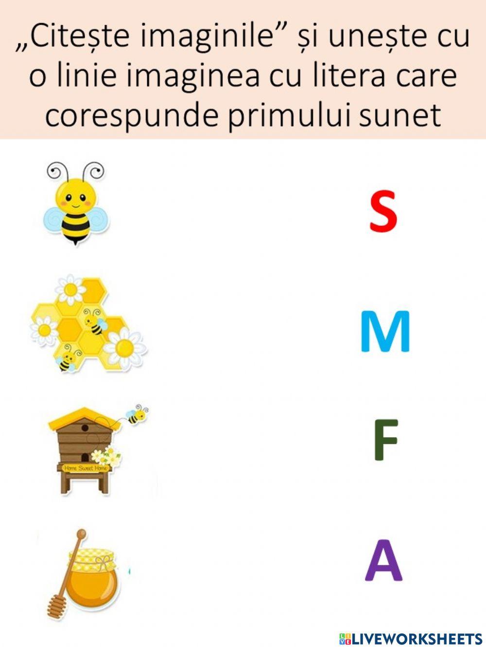 Imaginea și suntetul. albina