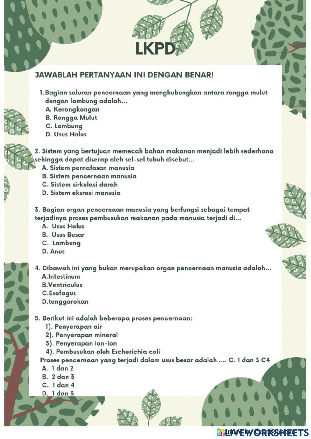 Organ Pencernaan Pada Manusia Kelas V