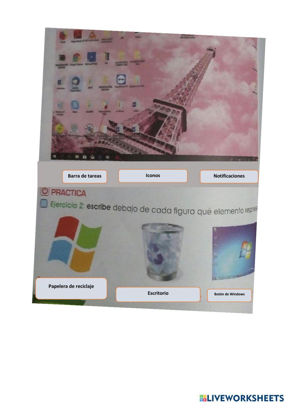 Conociendo los Iconos