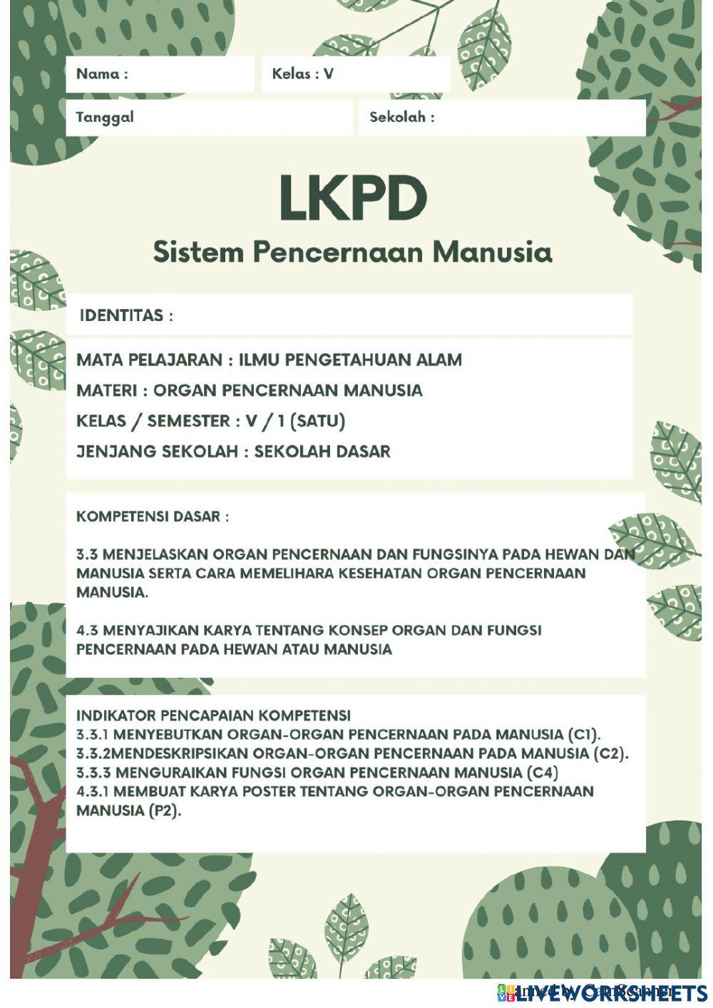 Organ pencernaan manusia