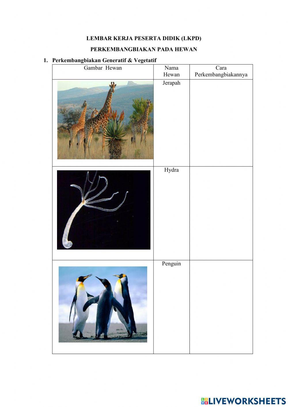 Perkembangbiakan hewan