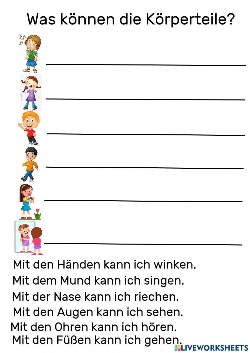 Was können die Körperteile?