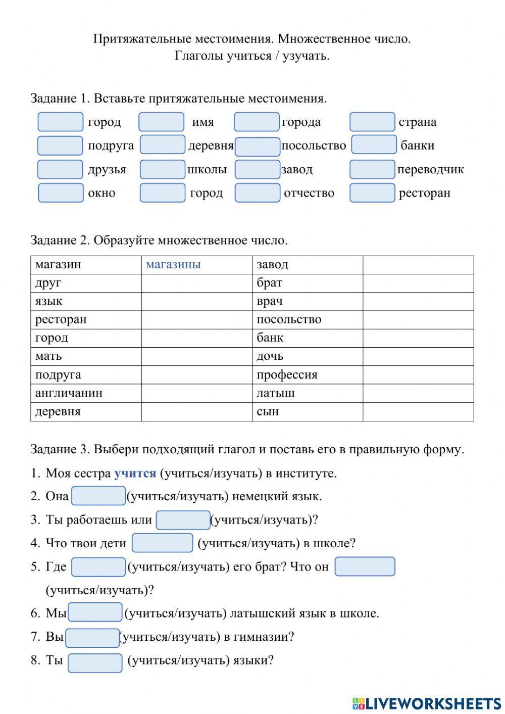Притяжательные местоимения в английском множественное число. Притяжательные местоимения в английском множественное число