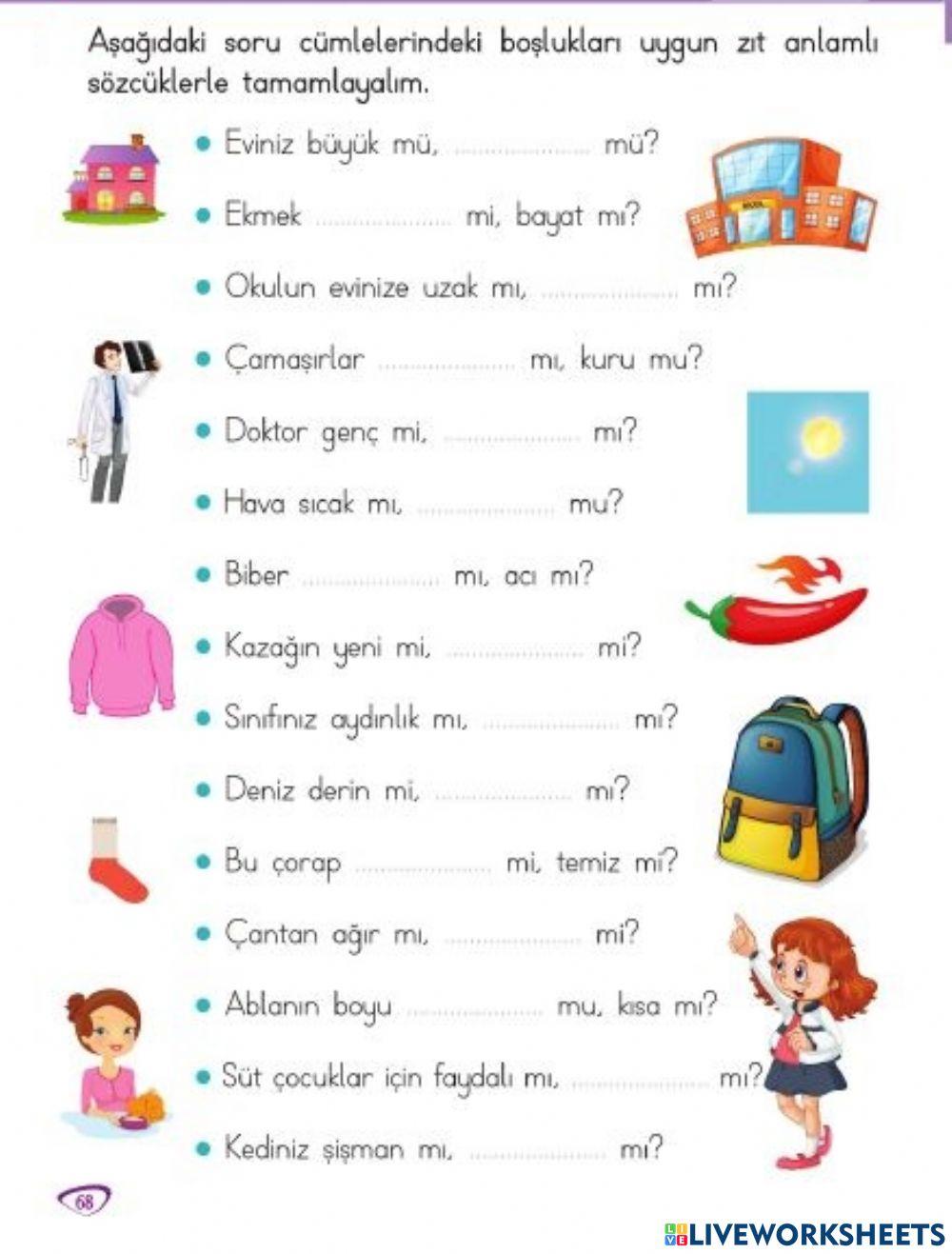 Zıt Anlamlı Cümle