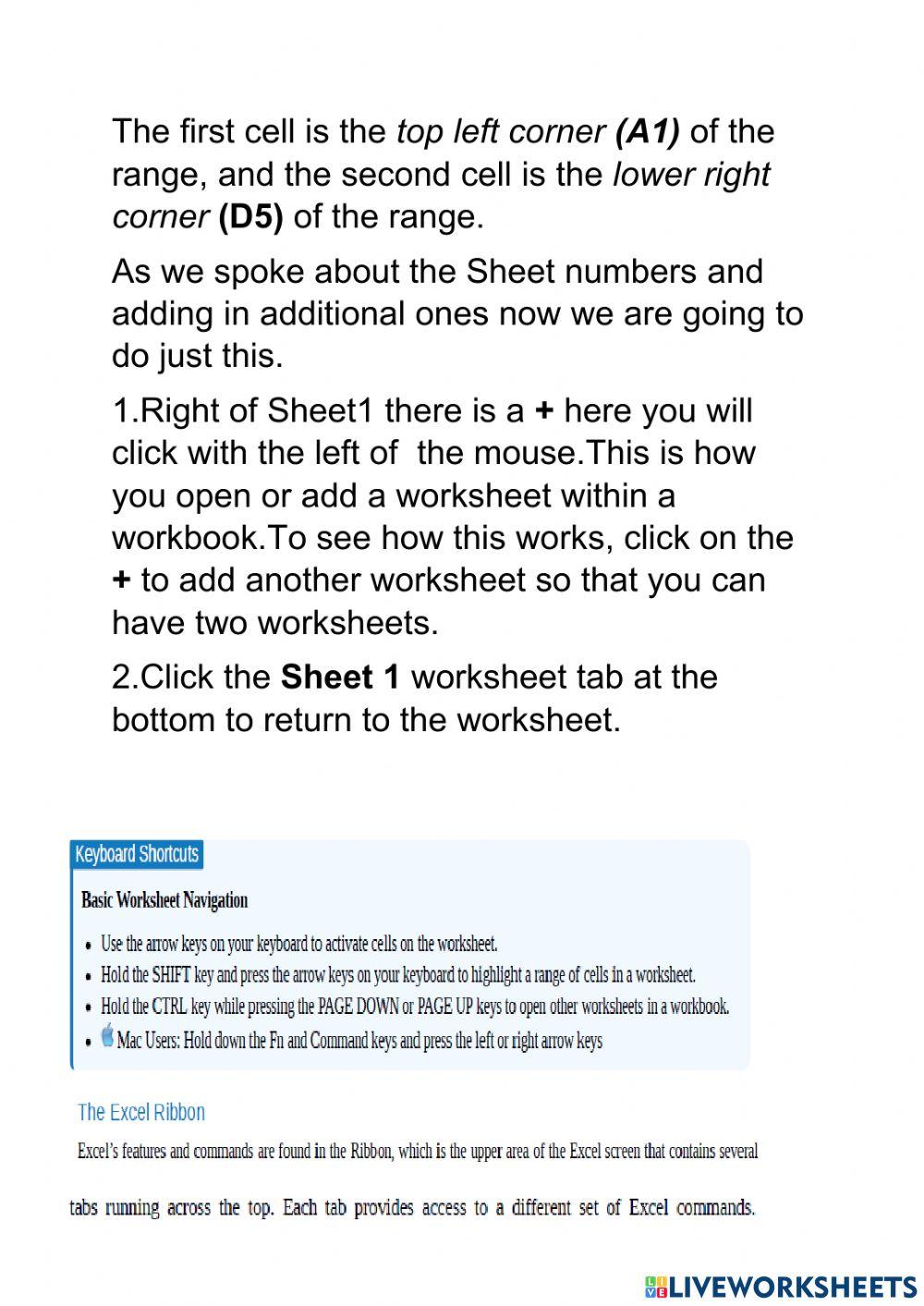 Lesson 2  Navigating Worksheet