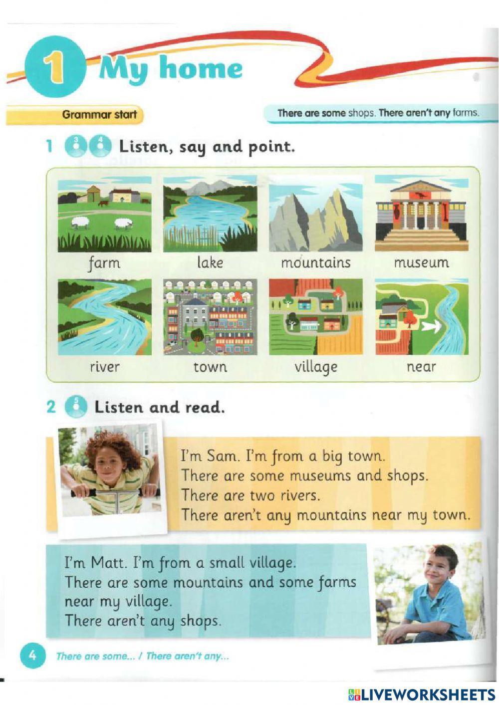 Aren-t any are some Grammar Goals 2