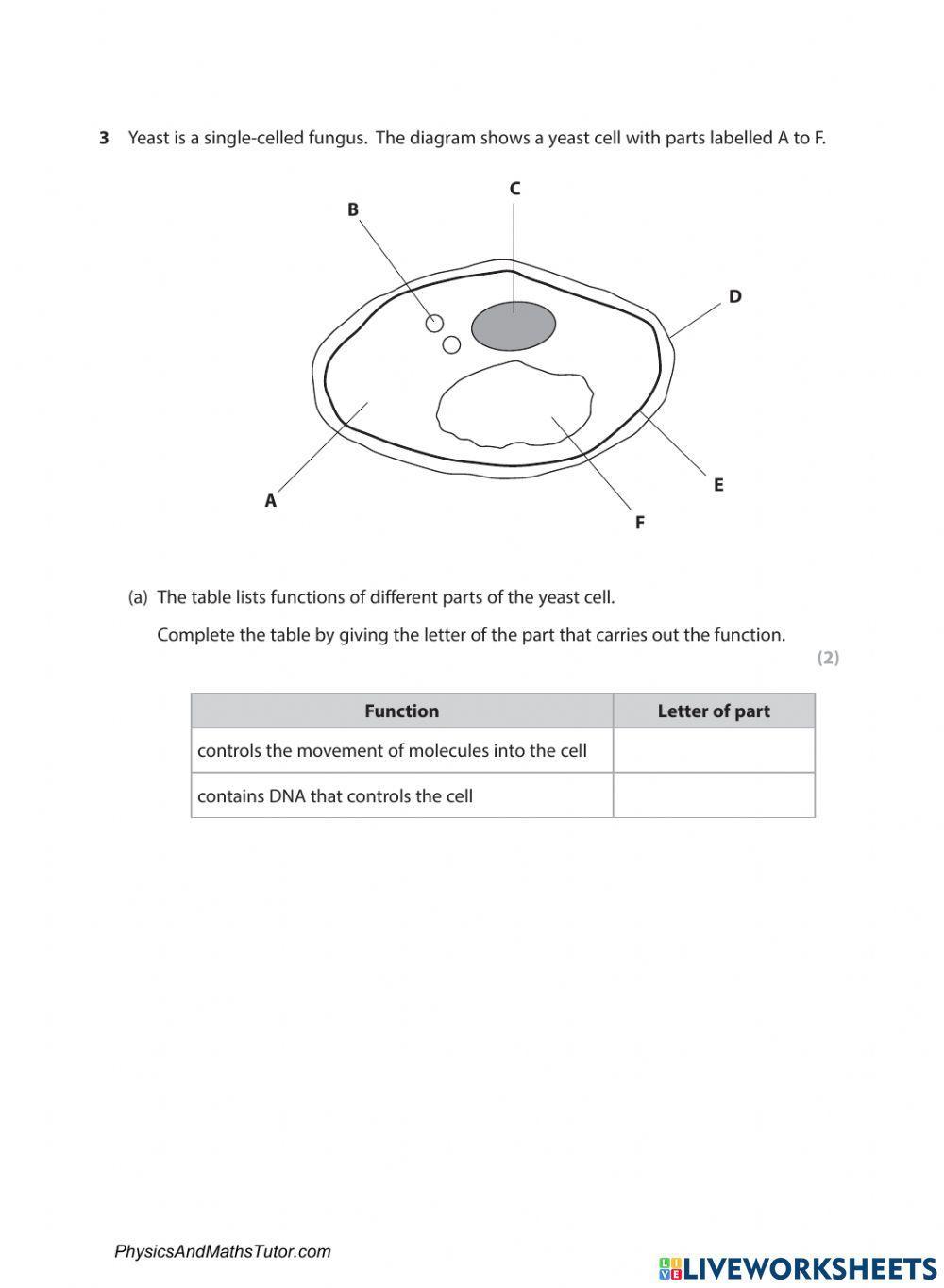 Characteristics of Living Organisms
