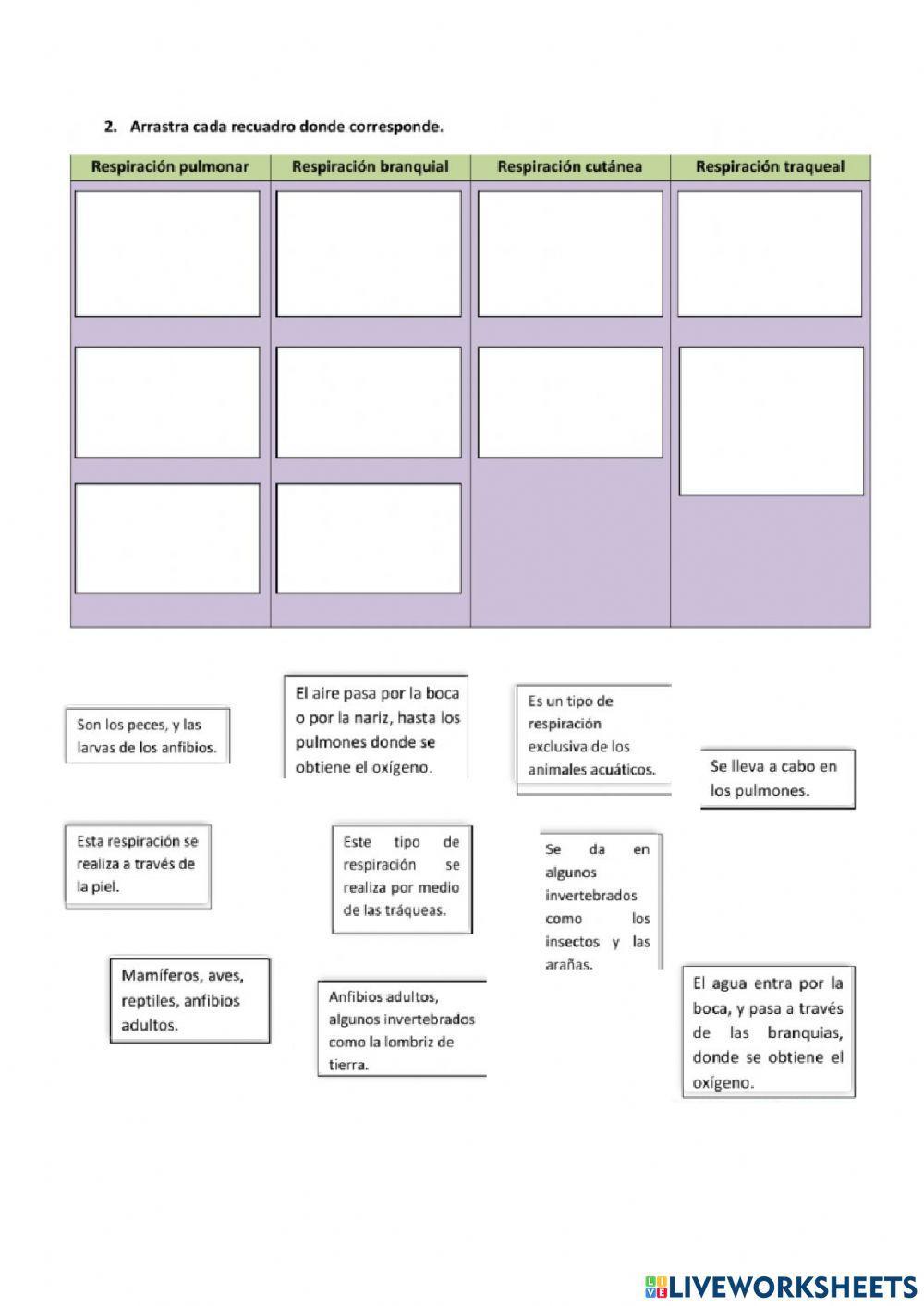 Respiración en animales