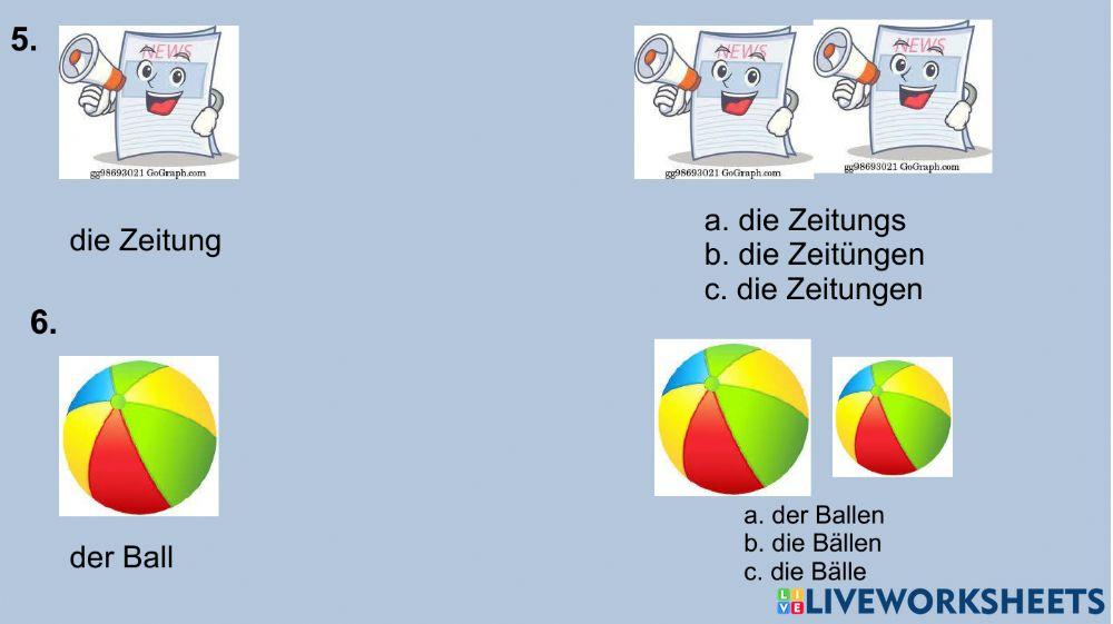 Singular-Plural Nomen