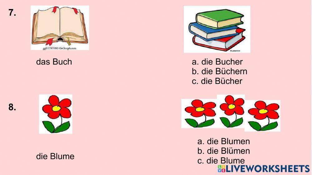Singular-Plural Nomen