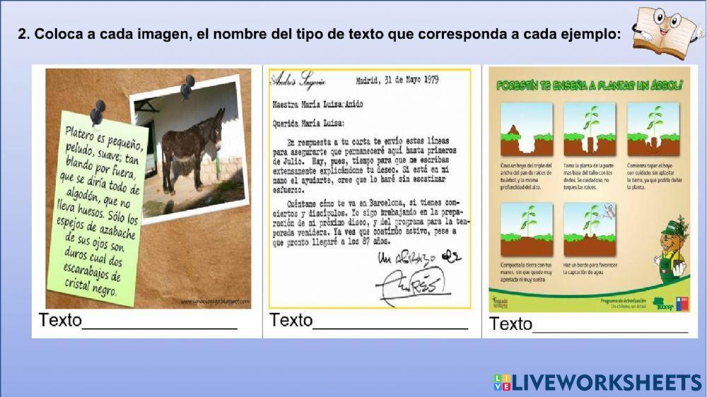 Tipos de textos