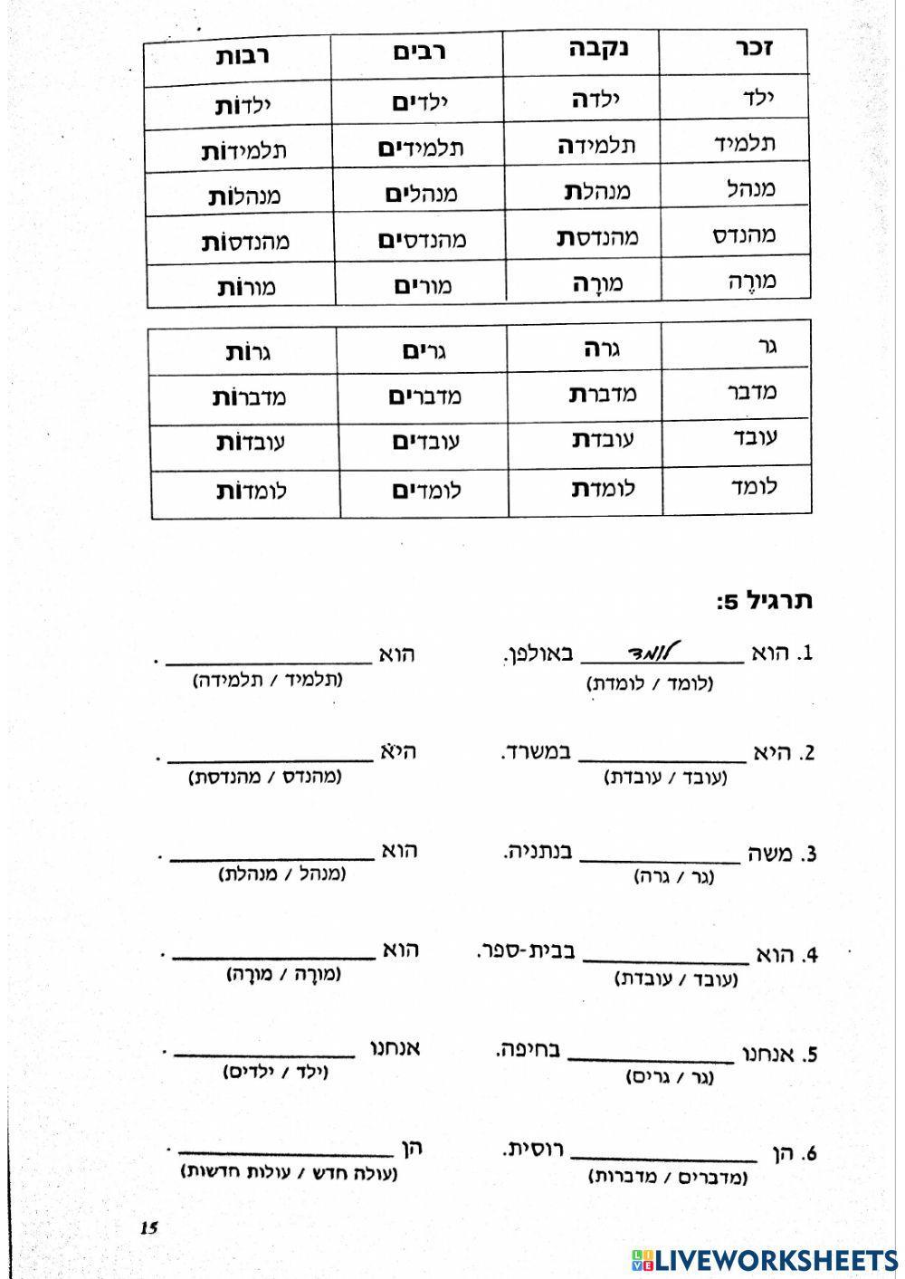 זכר נקבה יחיד רבים זכר נקבה יחיד רבים