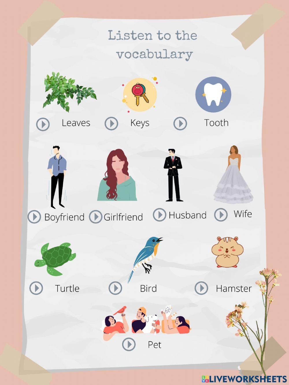 Vocabulary