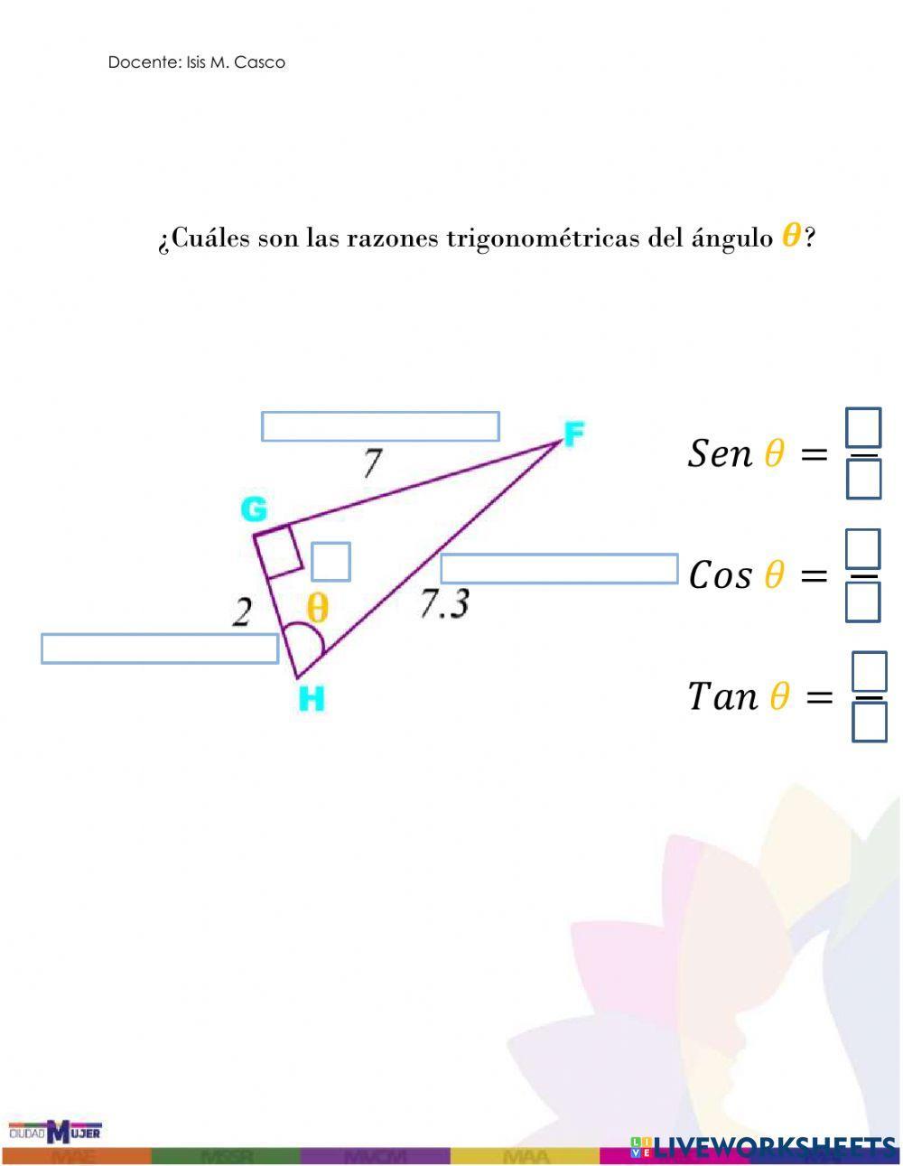 Trigonometría del Triángulo Rectángulo