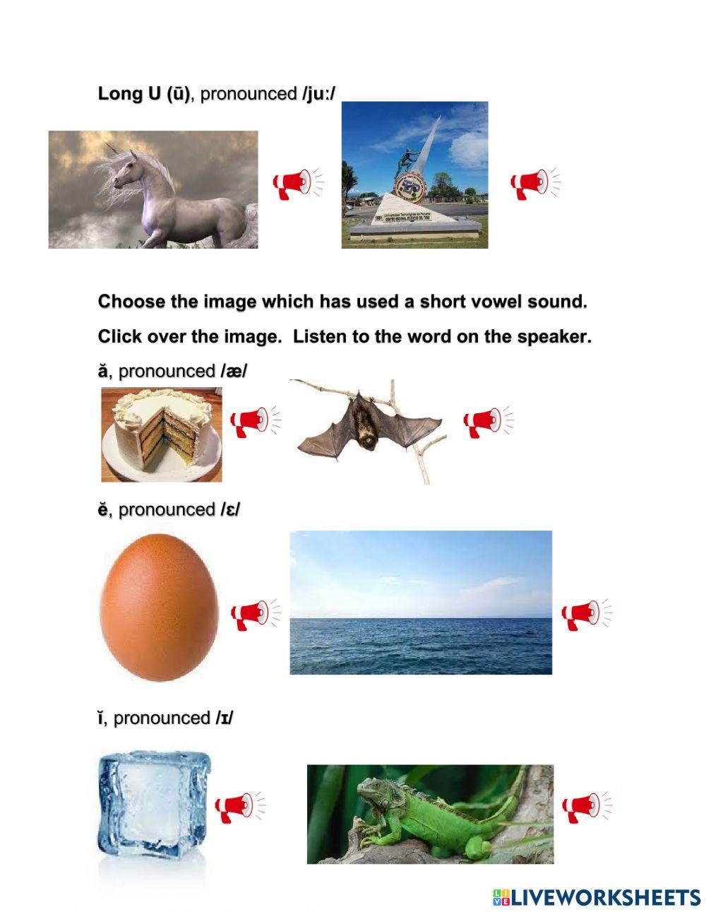 Short and Long Vowel Sounds in English
