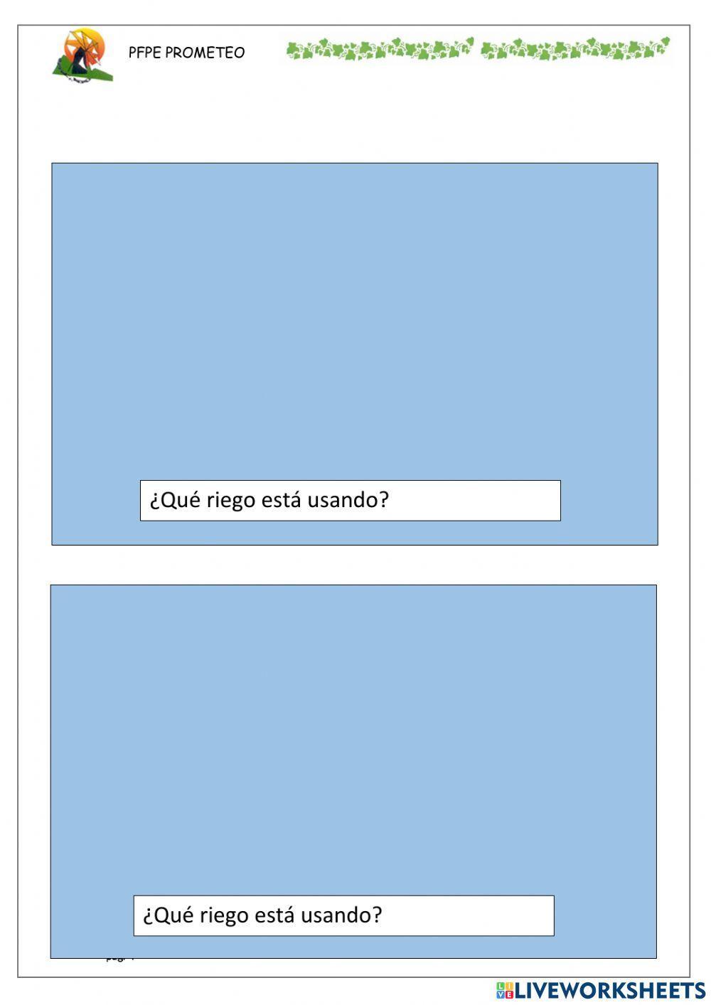 Mantenimiento del césped 4